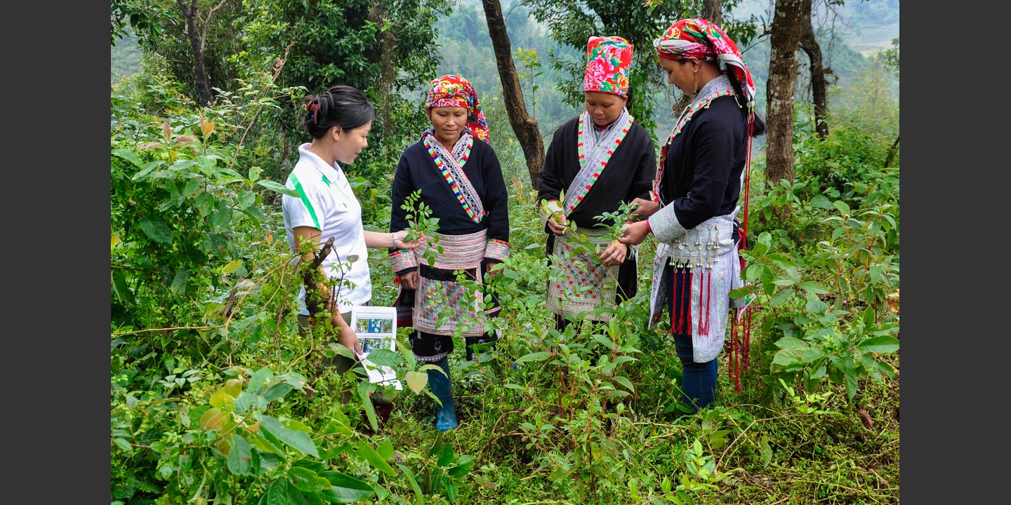 Biotrade Initiative | Vietnam | Helvetas